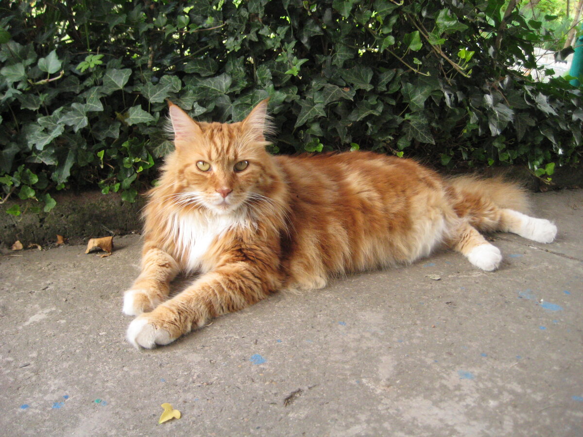 Фото из личного архива