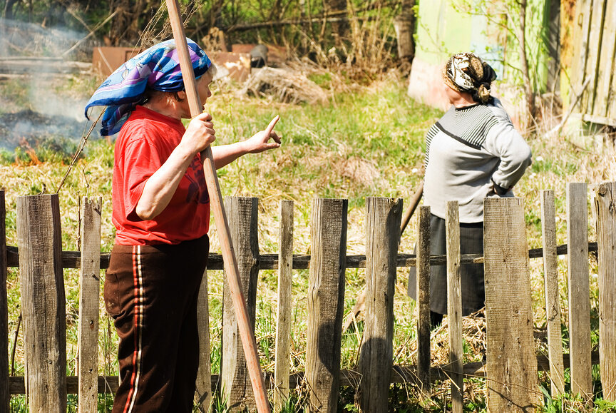 Фото из Яндекс Картинок