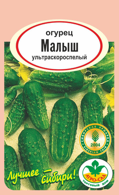 фото взято с интернета.
