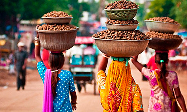 Источник: Яндекс Картинки