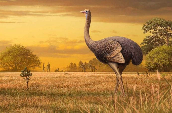 Реконструкция птички. Автор: Андрей Атучин