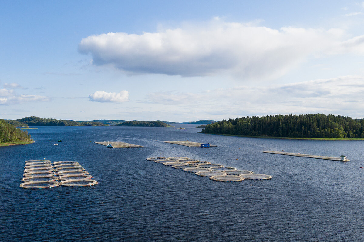 Разведение форели в садках. Фото luxsol.ru