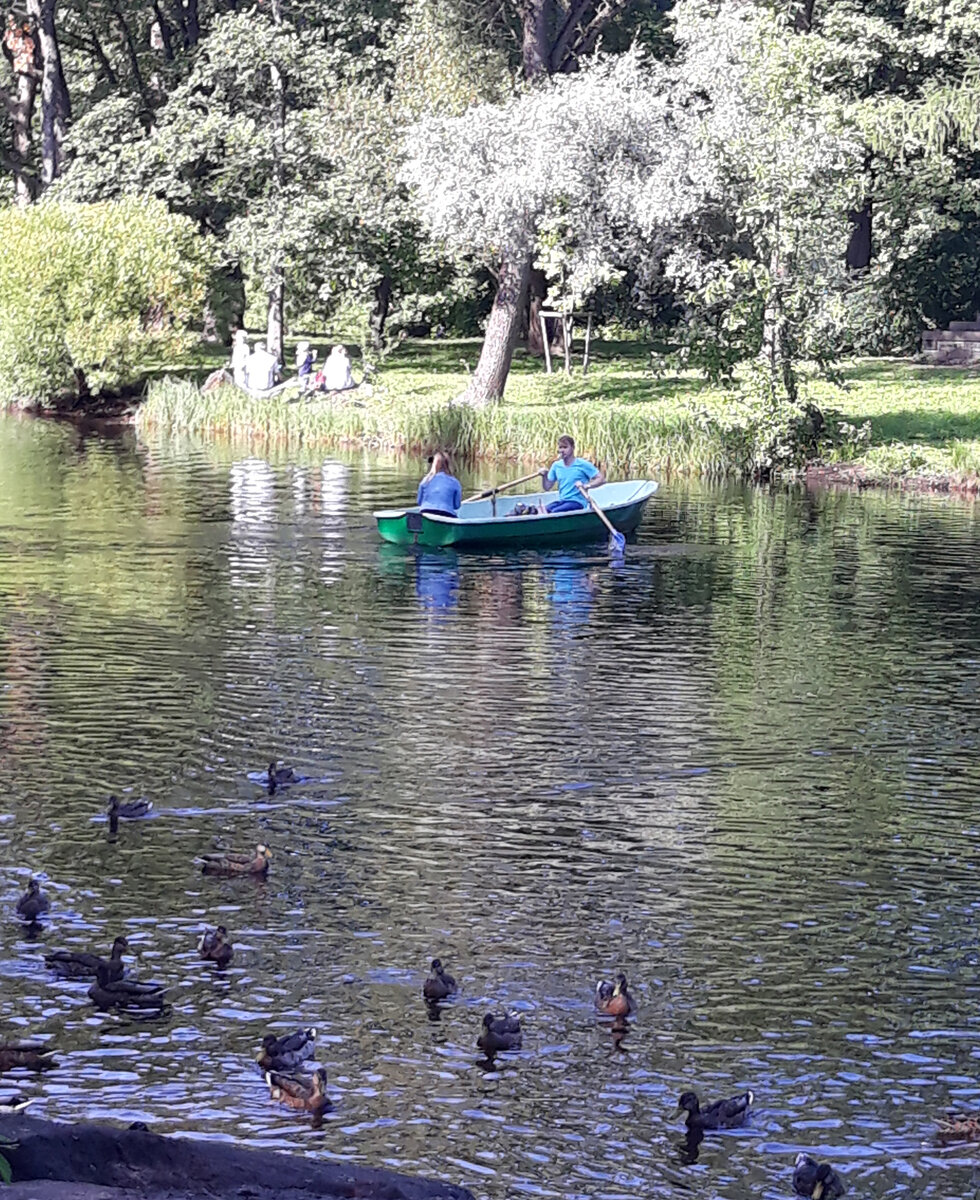 Здесь очень красиво, много зелени, лодочки, уточки, белочки, но главное-это выставка.