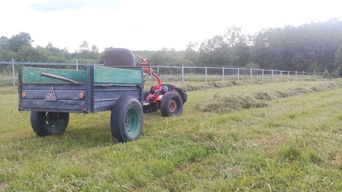 автор фото Александр Г.