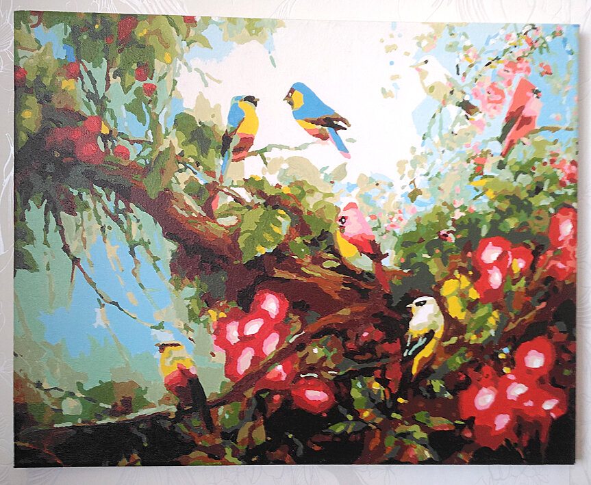 Райские птички. Казалось, что черный в интерьере - это слишком, но получилось совсем не мрачно, фото автора