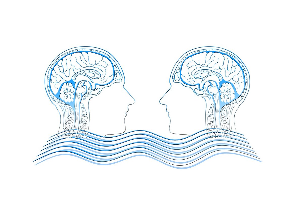 https://pixabay.com/illustrations/empathy-head-brain-wave-compassion-4292845/