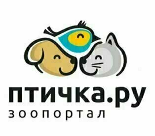 Стихи про котов и кошек для детей