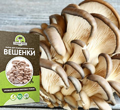 Вырастить
«Грибной сезон» – экологически чистые грибы, выращенные дома, также они в разы дешевле