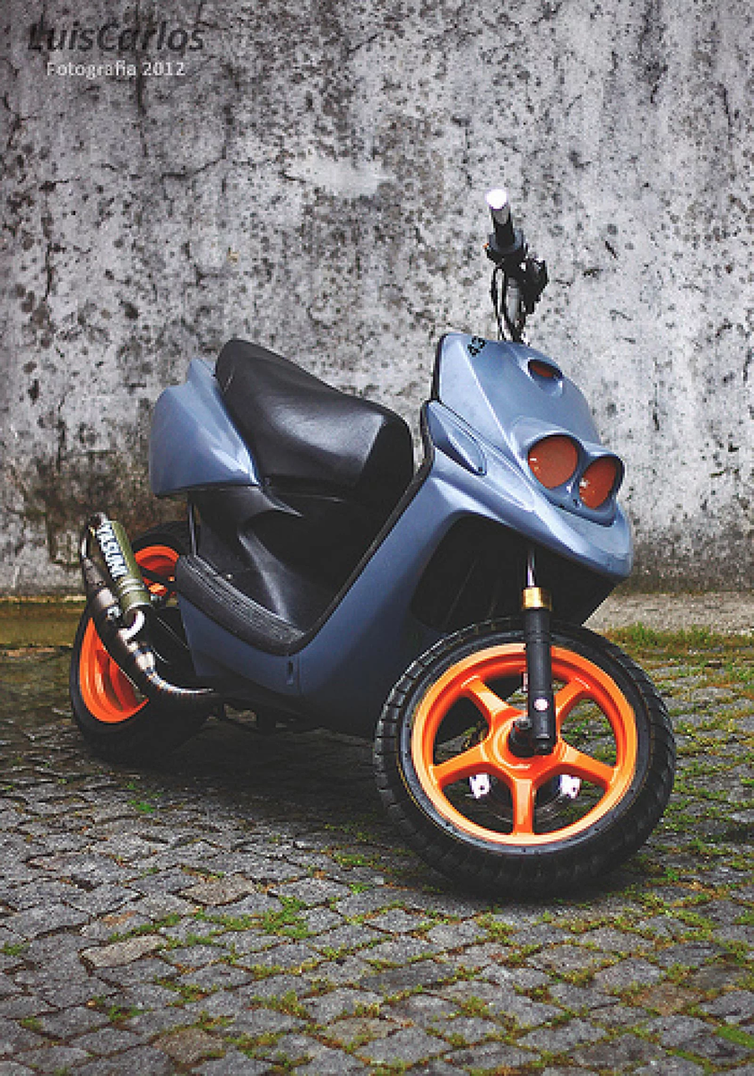 Только у брата серый цвет был поглубже. 