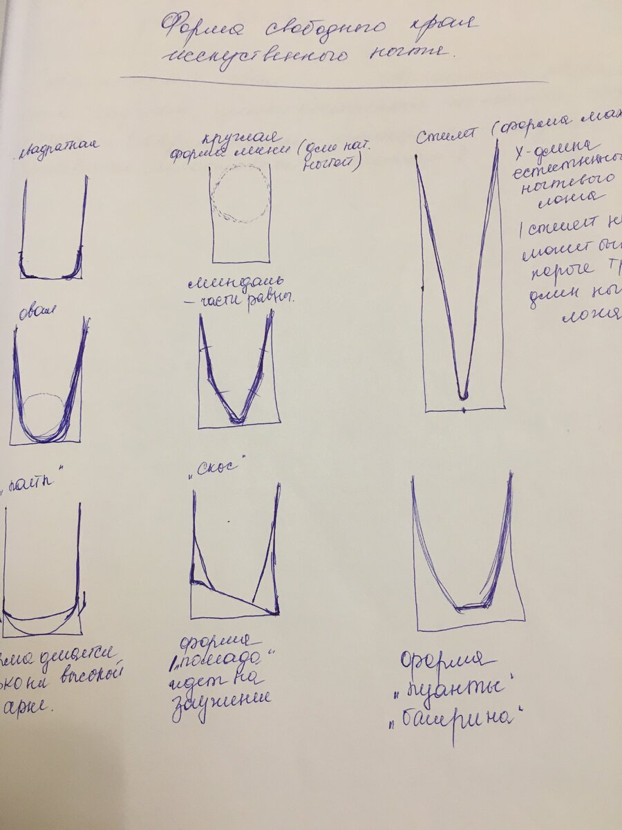 Разнообразие и причудливость форм меня сначала пугали