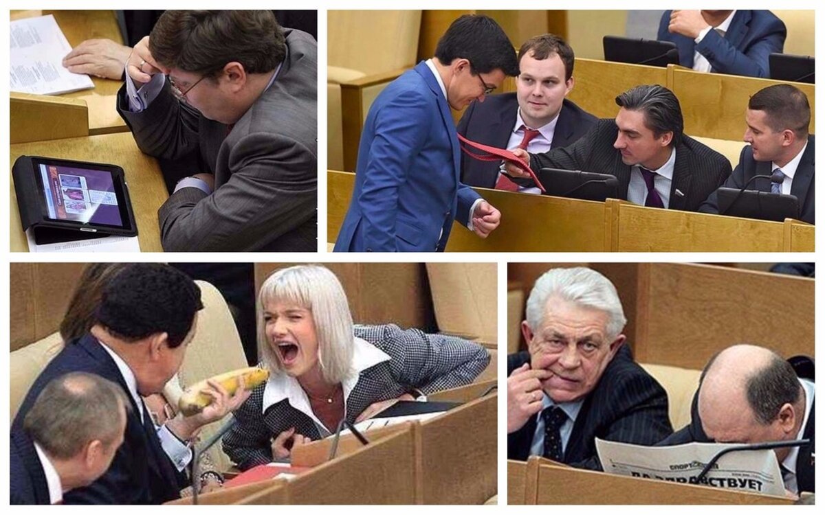 фото из интернета.