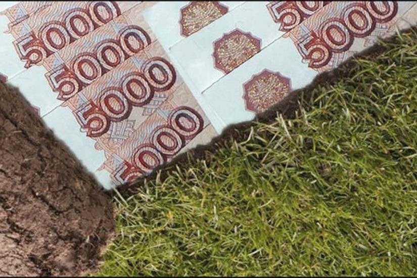 изображение добавлено из открытых источников яндекса