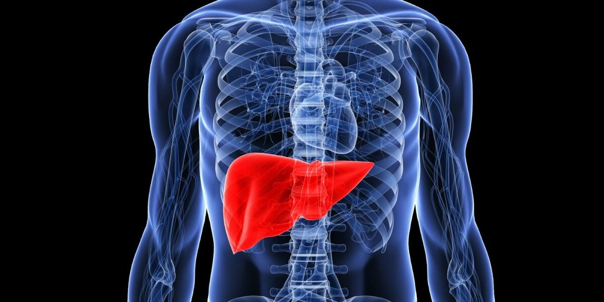 Посмотрите на левую долю печени?!