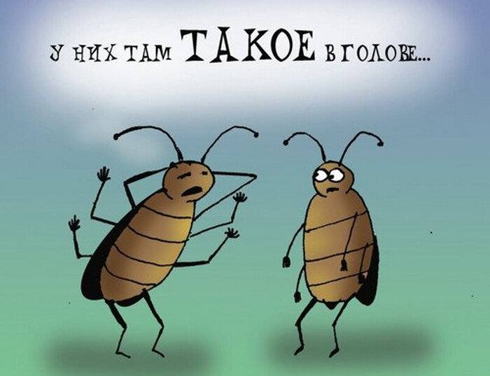 Из интернета