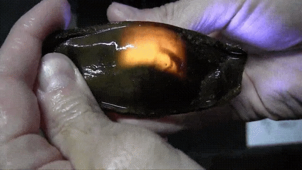 Источник: © Pirate_Redbeard / reddit  