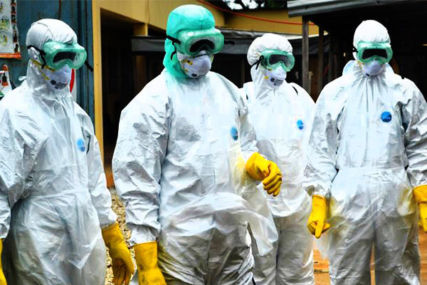 фото из интернета.