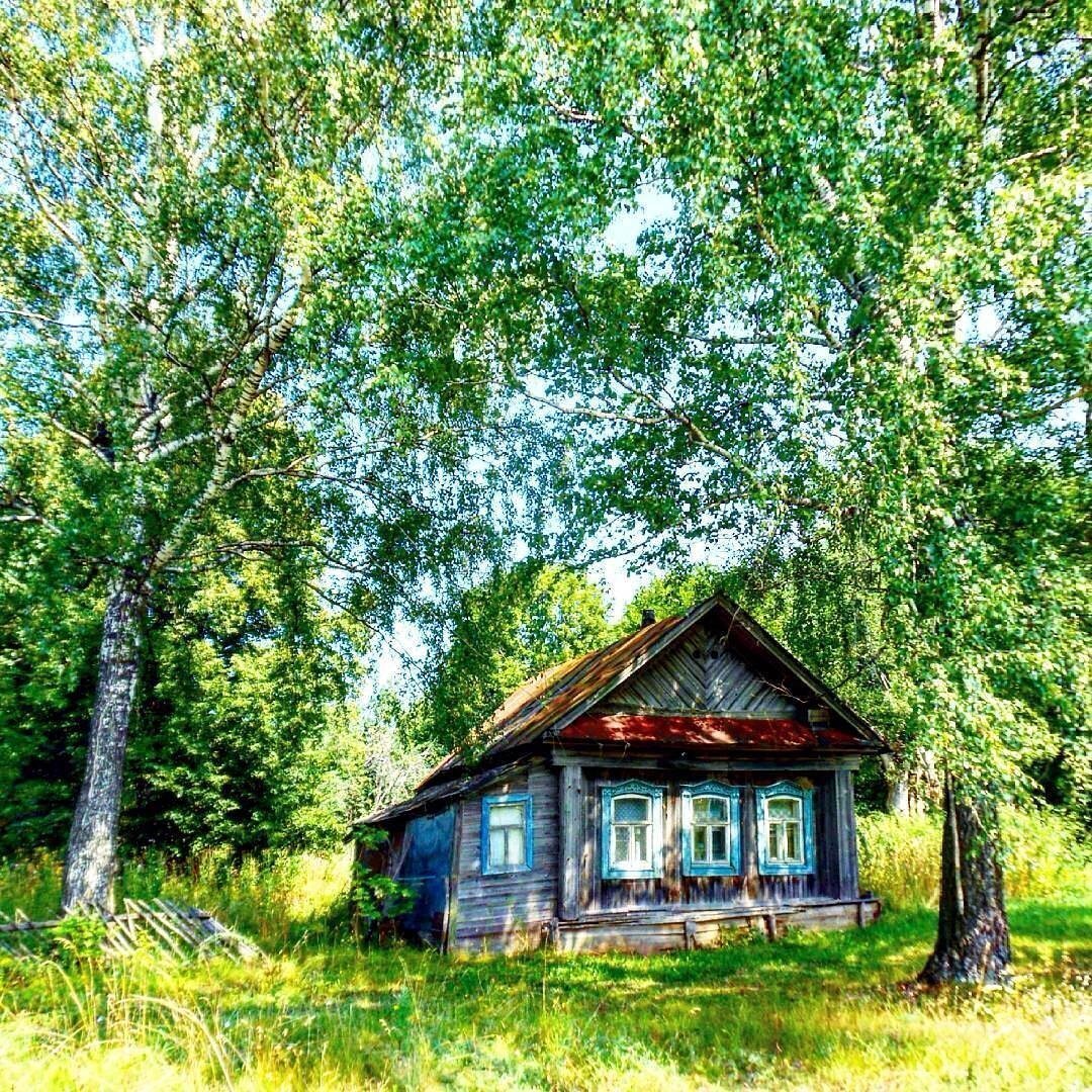 Фото из открытых источников.