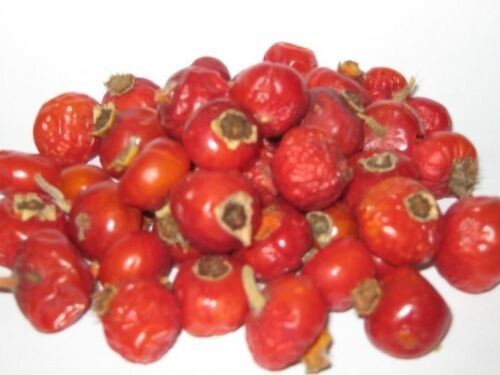     Сушеные или свежие плоды шиповника необходимо тщательно промыть в холодной воде. Далее измельчаем плоды при помощи ножа. Достаточно каждую ягоду разрезать на 4 части. Перекладываем кусочки шиповника в эмалированную кастрюльку и заливаем 200 мл кипятка. Далее ставим посудину на медленный огонь и, периодически помешивая, варим ягоды 10 минут. Далее снимаем кастрюлю с огня, накрываем крышкой и настаиваем 10 минут.   