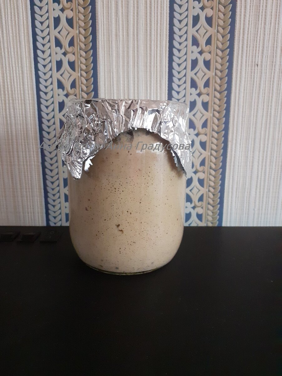 готовая закваска - помимо приятного кисловатого хлебного запаха в ней много-много пузырьков