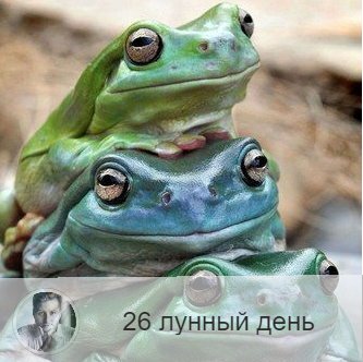 26 лунный день | Лунные дни