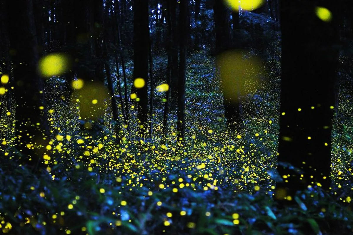 Источник: Яндекс картинки