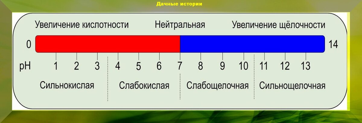 Презентация определение кислотности почвы