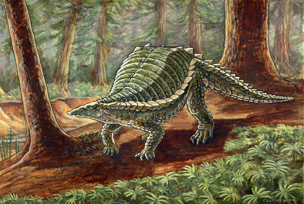 Вымершее пресмыкающееся 9. Палеозойская Эра котилозавр. Котилозавры Триас. Травоядные динозавры Триасового периода. Мезозойская Эра котилозавр.