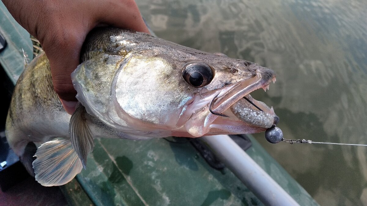 Твистер SSR CTH 80 цвет CA004