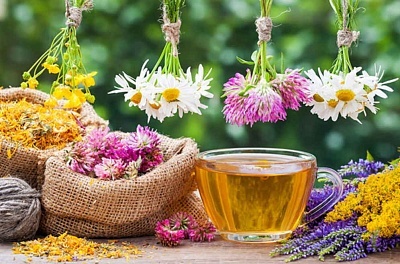 Фото: krasotadivo.ru