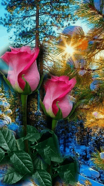 pinterest.com. 