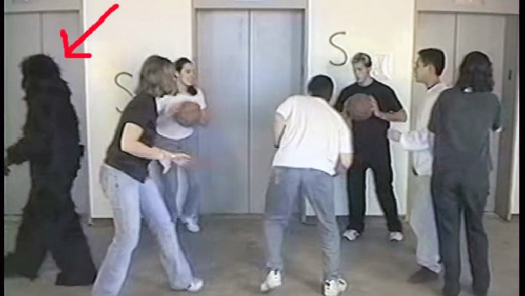 Слайд из видео с экспериментом. Фото из Яндекс Картинки