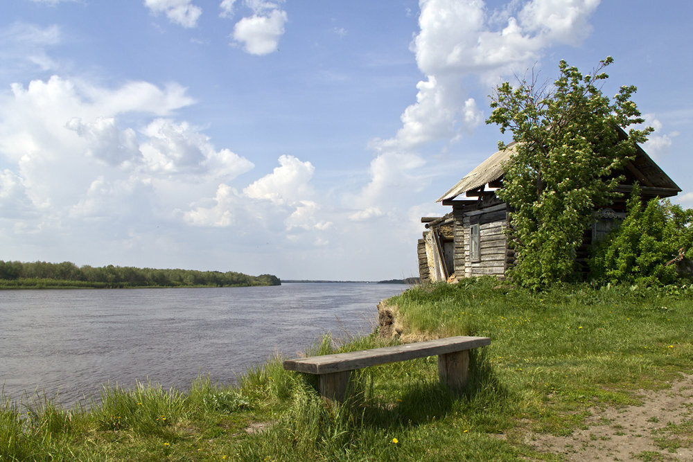 яндекс картинки