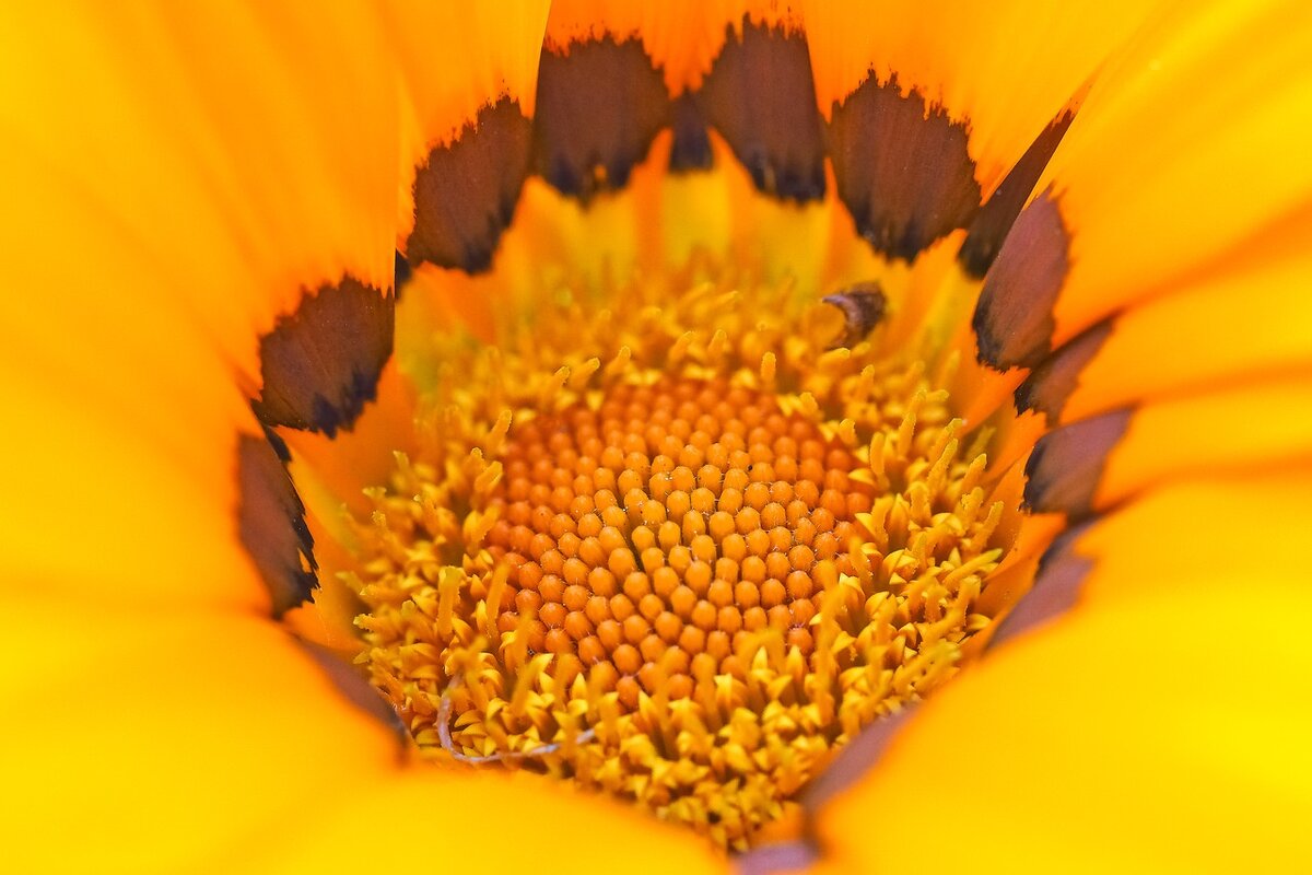 Michael Gaida/pixabay.com