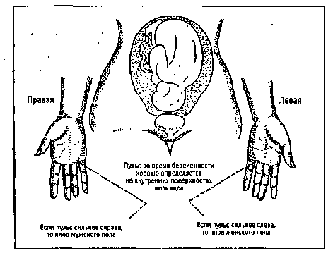 Как раньше определяли беременность. Пульс беременной как определить. Как по пульсу определить беременность. Как по пульсу определить беременность на руке.