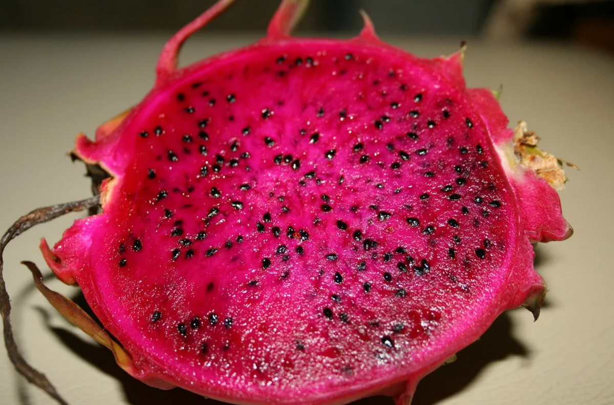 Dragon fruit. Питайя Драконий. Ягода дракона питайя. Драконий глаз питахайя. Питайя Драконий красный.