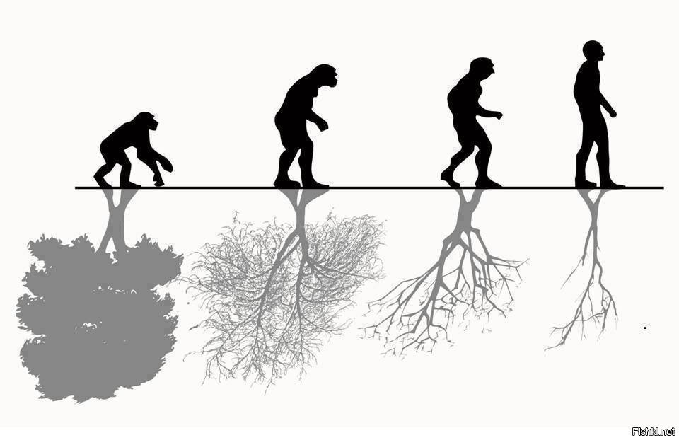 Эволюция сотрудничества. Эволюция человека и природы. Эволюция картинки. Эволюционная экология. Экология эволюционного развития.