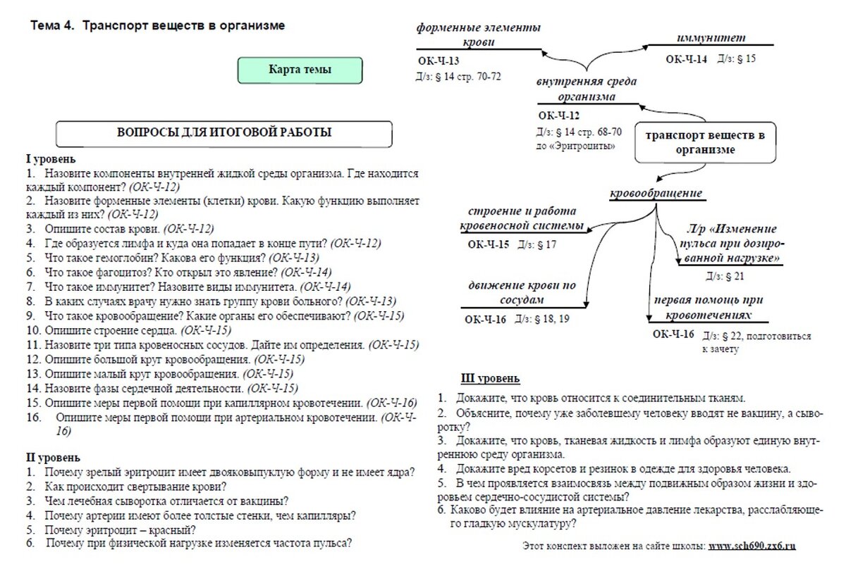 Урок биологии в 8 классе. Внутренняя среда организма, или Откуда берется  лимфа | Елена Сова: пуд соли в школе | Дзен