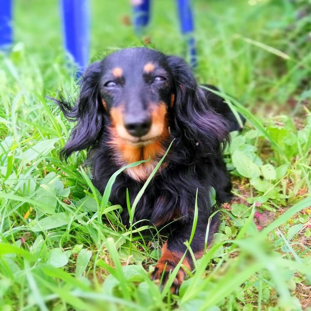 Фото из домашней галереи.