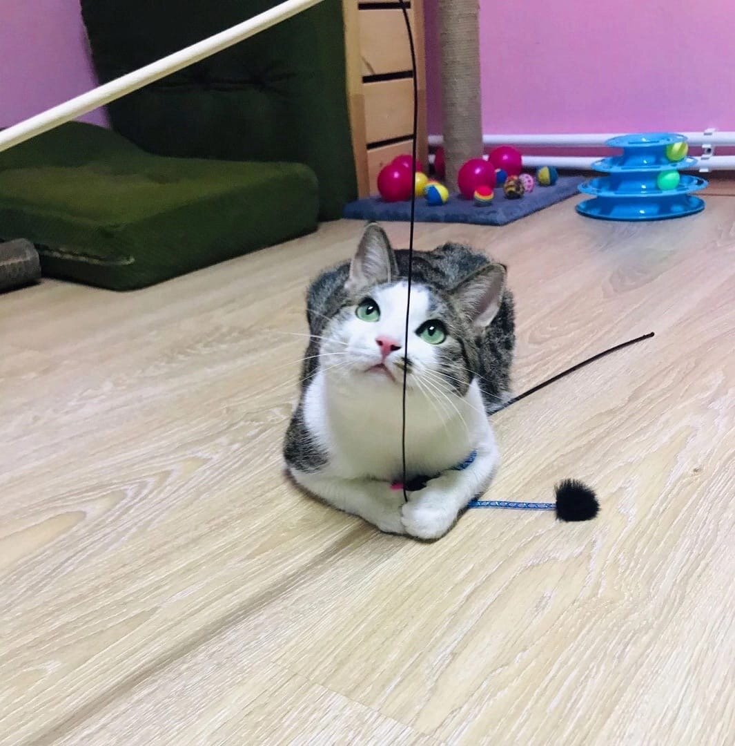 -2