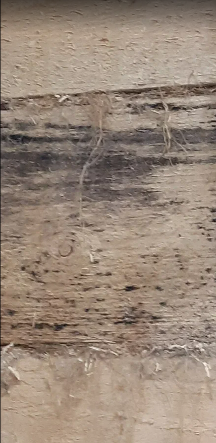 Внутренняя стена