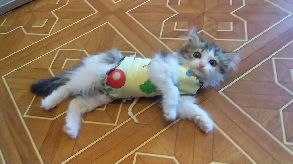 Таким Баксик к нам приехал