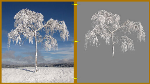 Как быстро вырезать сложный объект из фона фотографии обычной командой фотошопа