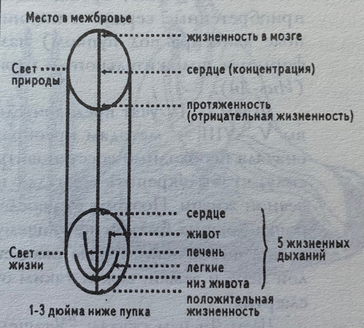 Рисунок №1.