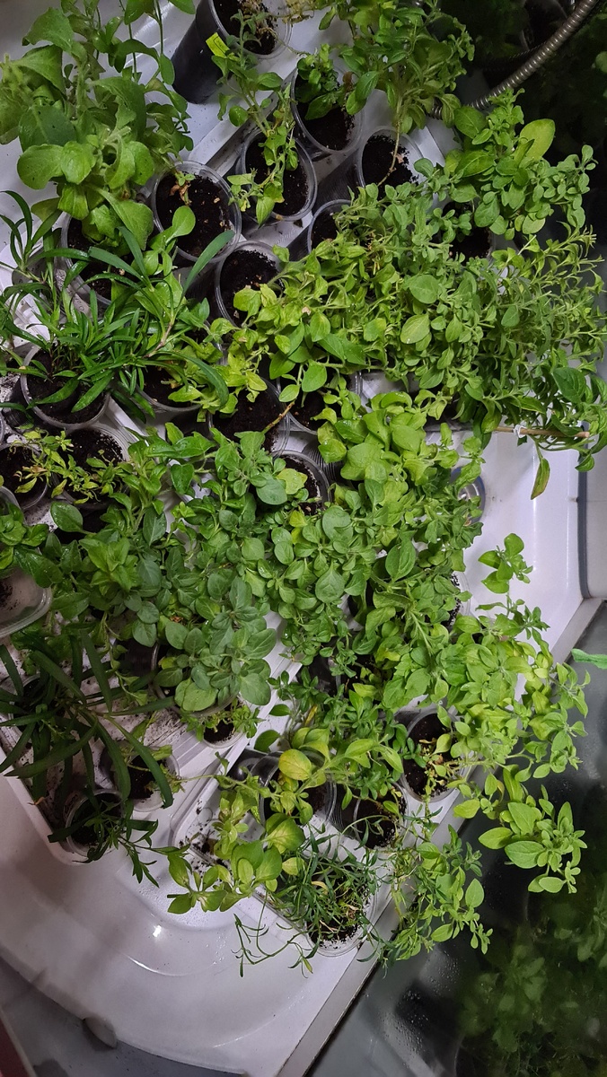 После опрыскивания