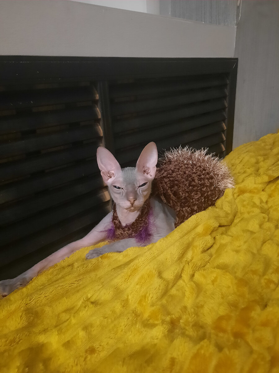 На сарафане остатки пряжи - травки от коричневого ежа😄