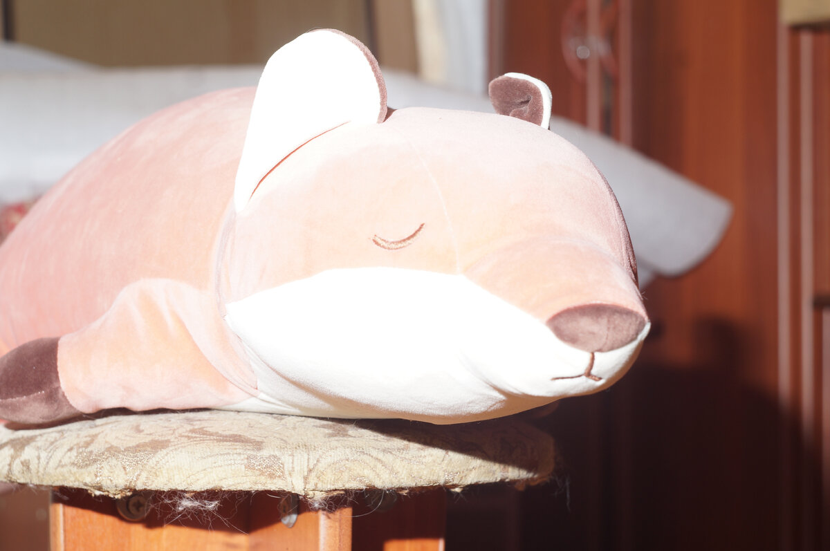 Эти же условия, но со вспышкой. 