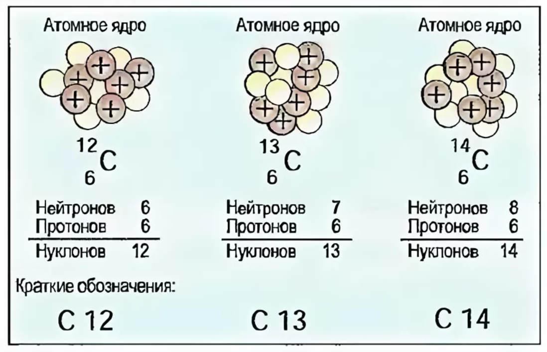 Изотоп углерода 12. Состав ядра изотопа углерода 12. Изотопы углерода 12с и 13с различаются числом. Состав ядер изотопов углерода.