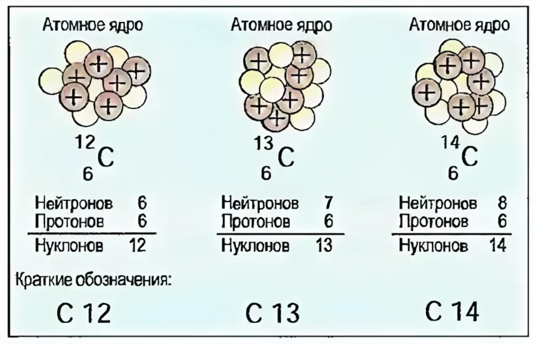 Сколько нейтронов содержит. Изотоп углерода 12. Состав атомных ядер изотопов углерода. Атомная масса изотопа углерода. Масса ядра изотопа углерода.