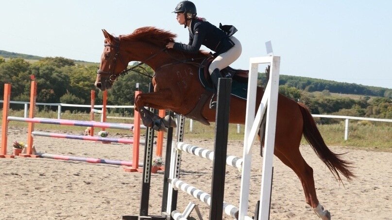     Сильнейшие наездники собрались в Уссурийске на чемпионате и первенстве Приморского края по конному спорту. Они боролись за право представлять регион на всероссийском этапе турнира.