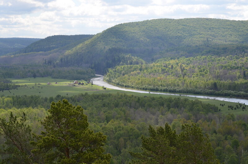 На берегу этой дикой реки... (Наутилус помпилиус).